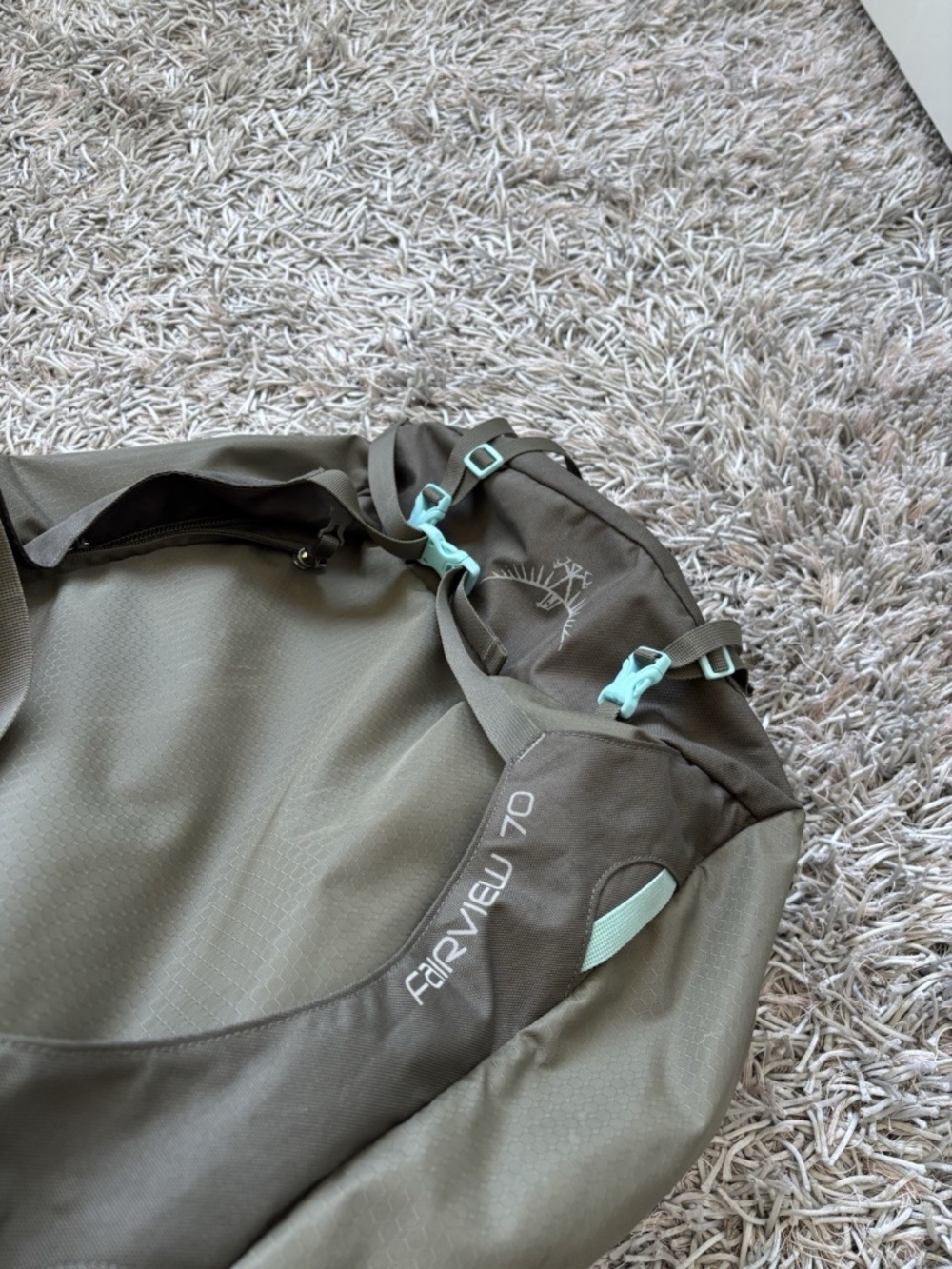 Fairview 70L Travel Backpack in Green Olive / Blue Authentic❤️ - Picture 11 of 12